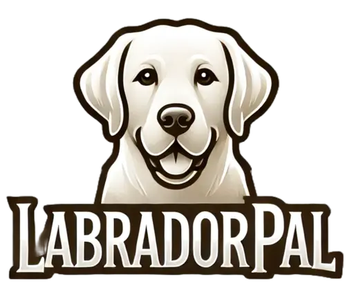 Labrador